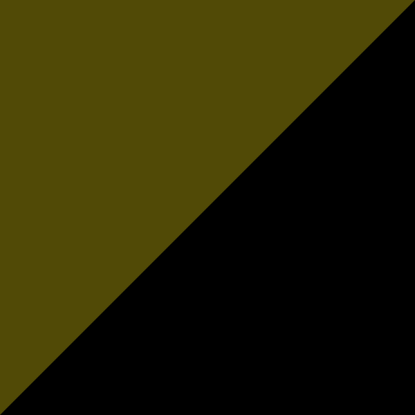 MILITARY GREEN_BLACK